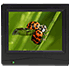 Portable Monitor