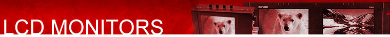 LCD Monitors header
