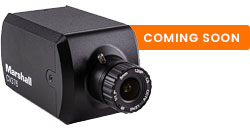 CV376 - Compact POV Camera NDI HX3 and HDMI